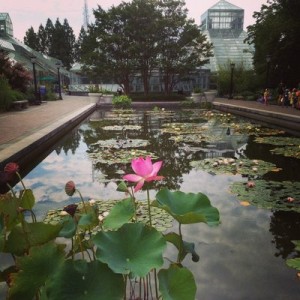 botanic